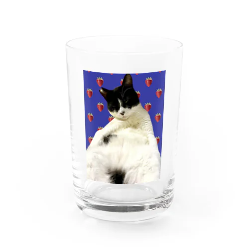 出荷前のオレピ Water Glass