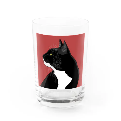 Bcat  Water Glass