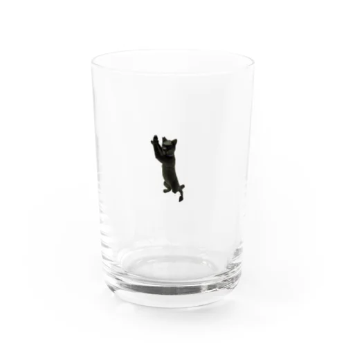 ねこ Water Glass