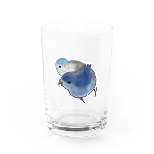 うちのサザナミインコ Water Glass