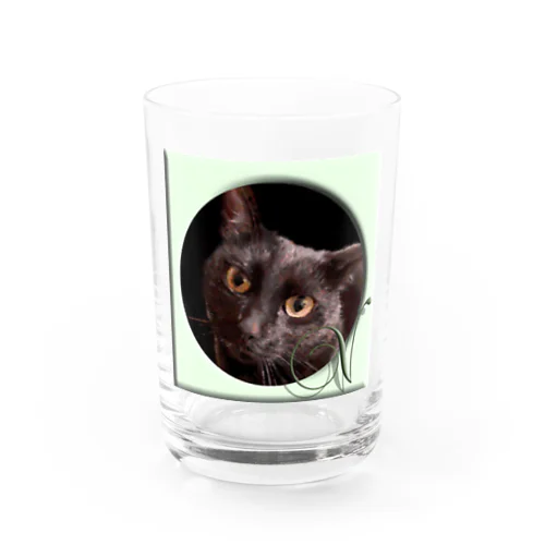 v Water Glass