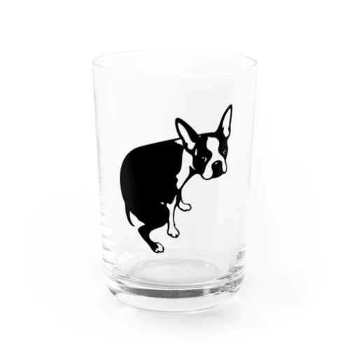 ボストンテリアうんちの犬 Water Glass