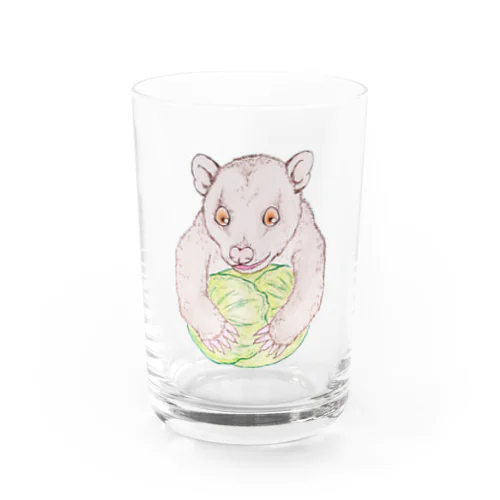 キャベツおいしいオポッサム（背景無し） Water Glass