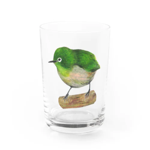 [森図鑑] メジロ Water Glass