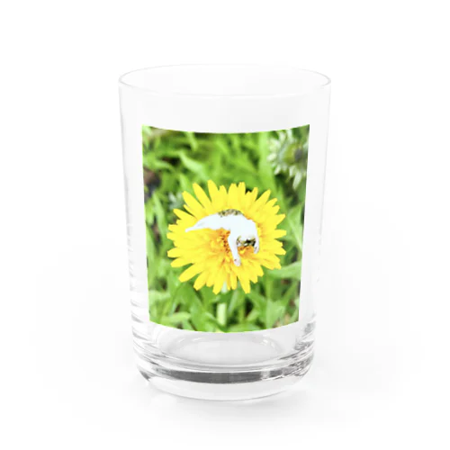 いやし花ねこ Water Glass