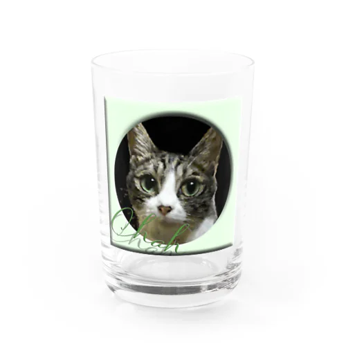 chah Water Glass