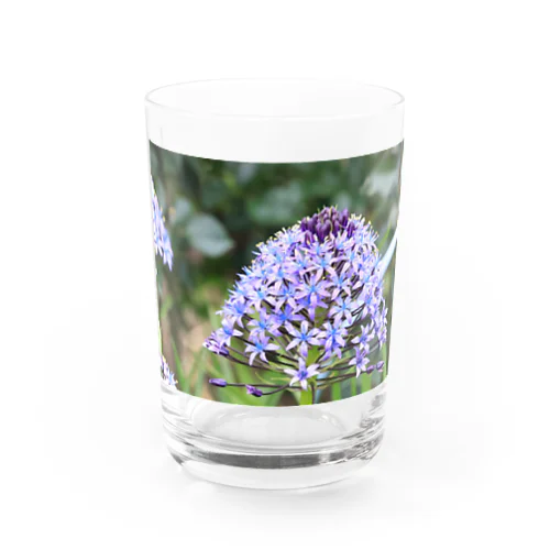 紫花の降臨 Water Glass