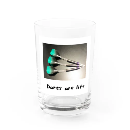 darts are life Water Glass