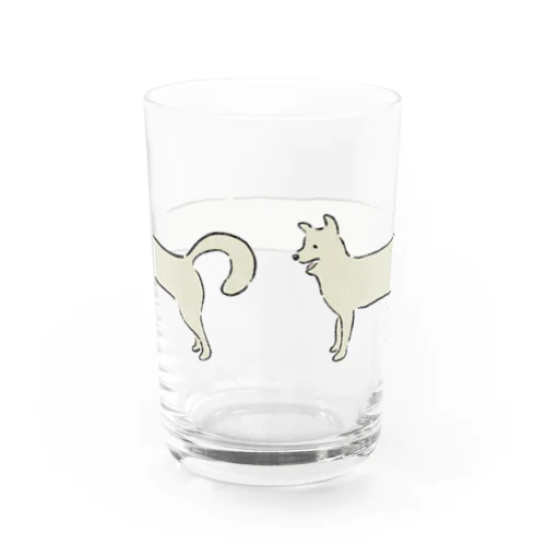 Myシッポを追う犬 Water Glass