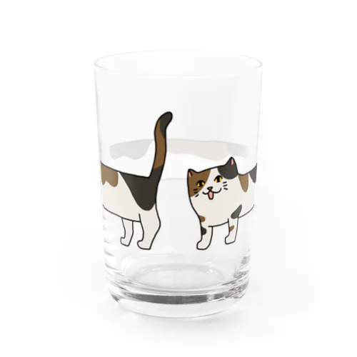 長い三毛猫 Water Glass