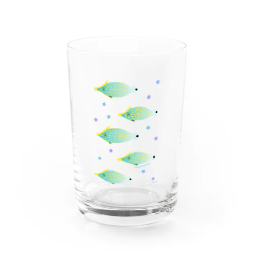 テングカワハギ Water Glass