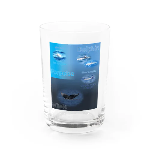 イルカとクジラの違い Water Glass