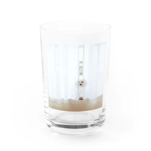 カーテンからいぬ Water Glass