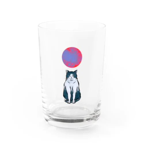 太陽猫 Water Glass