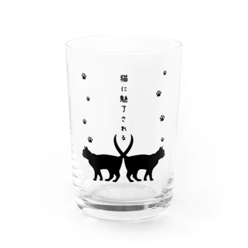 猫に魅了される＊黒＊グラス グラス