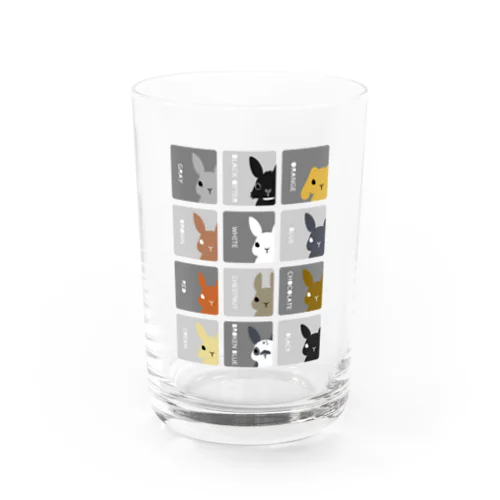 うさぎの毛色図鑑シックグレー Water Glass