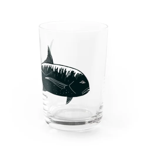 ロウニンアジ Water Glass