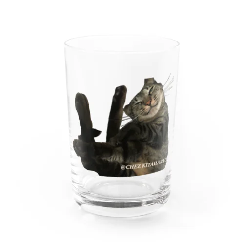 狭いとこには入らずにはいられない猫 Water Glass