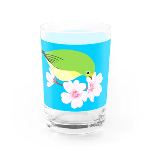 桜とメジロさん Water Glass