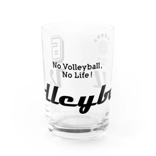 Volleyball(バレーボール) Water Glass