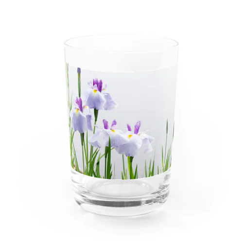 癒しの風景（花菖蒲） Water Glass