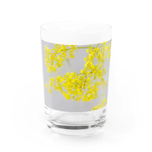 癒しの風景（オミナエシ） Water Glass