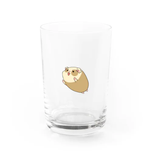 モルモットの「つむじ」 Water Glass