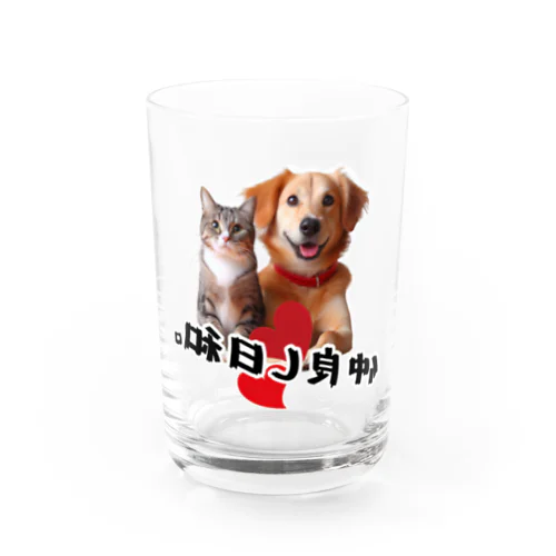 犬と猫の仲良し日和 물유리