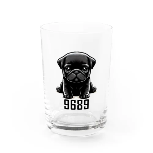 9689 Water Glass