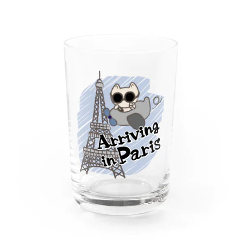 Arriving in Paris Water Glass