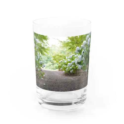 hydrangea-F Water Glass