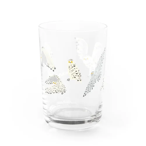 シロフクロウの空 Water Glass