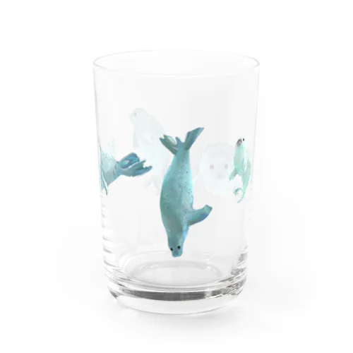 アザラシの海 Water Glass