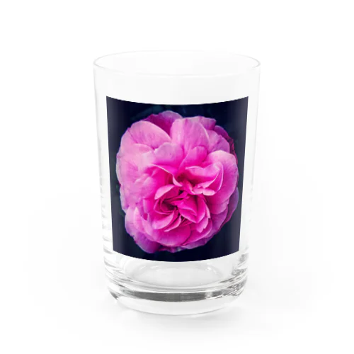 FLOWERbabyCOLOR Water Glass