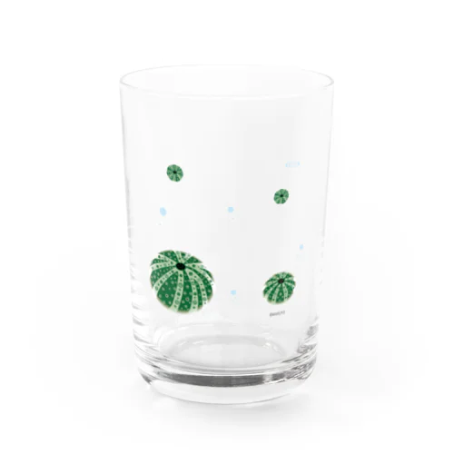 馬糞雲丹 Water Glass