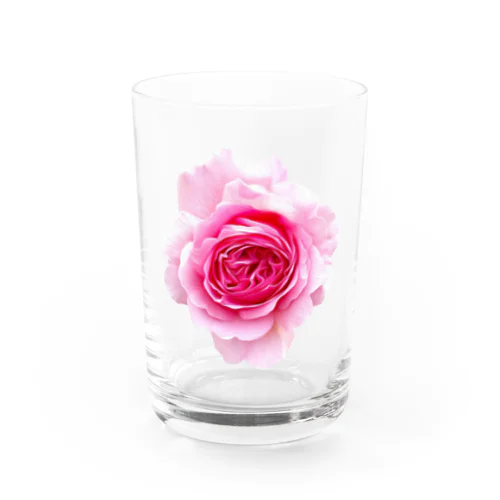 【ロマンスキザ】ピンクの薔薇 グラス