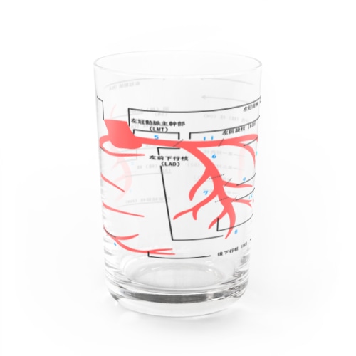 冠動脈学べるグラス Water Glass