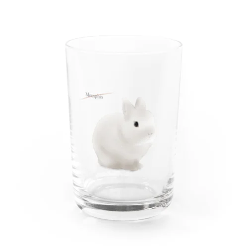 うさぎ　ネザー Water Glass