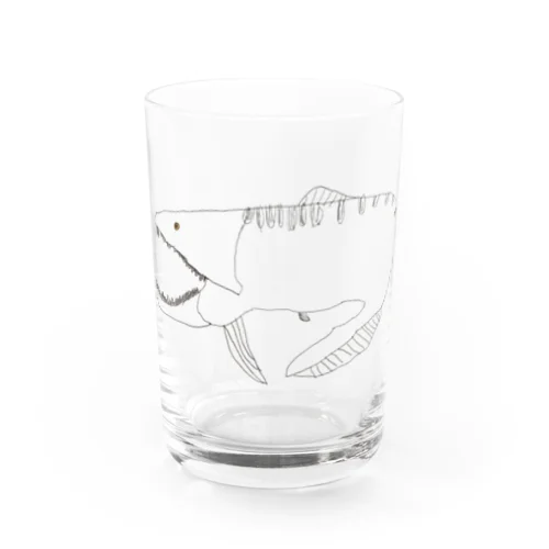 ダンクルオステウスくん Water Glass