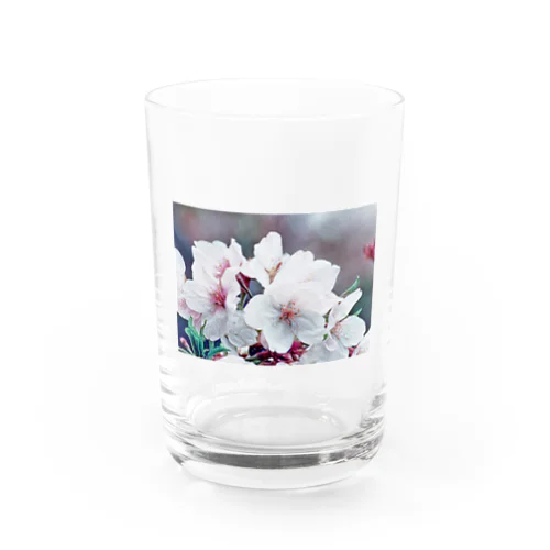 sakura Water Glass