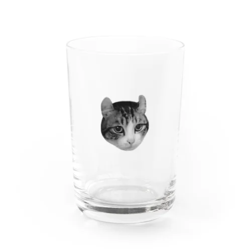 毛を逆立てる リ Water Glass