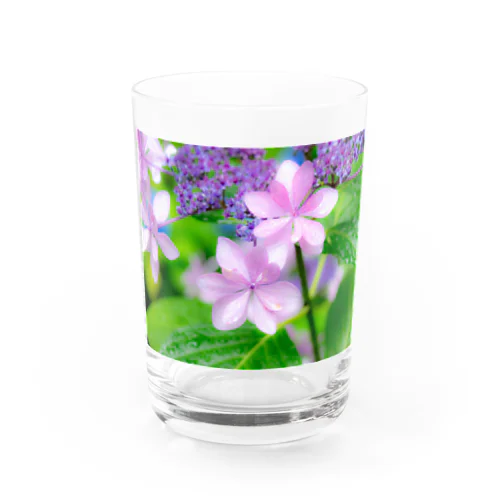 紫陽花 Water Glass