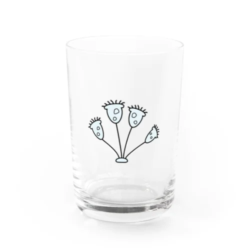 ツリガネムシ Water Glass