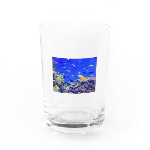 熱帯魚 Water Glass