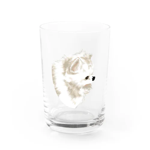 白ポメラニアン Water Glass