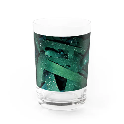 千文字「Don't care, but care」の葉っぱ Water Glass