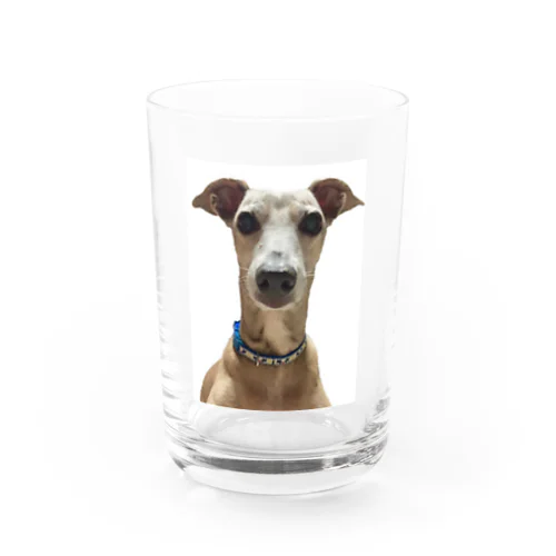 Water Glass