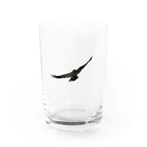 crow Ⅰ Water Glass