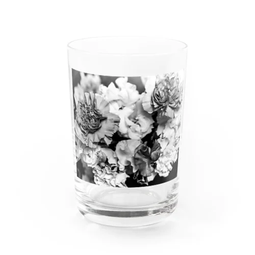 「花」 FUJIFILM ACROS NEOPAN 100 II グラス