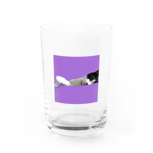 横たわりはちわれ猫 Water Glass